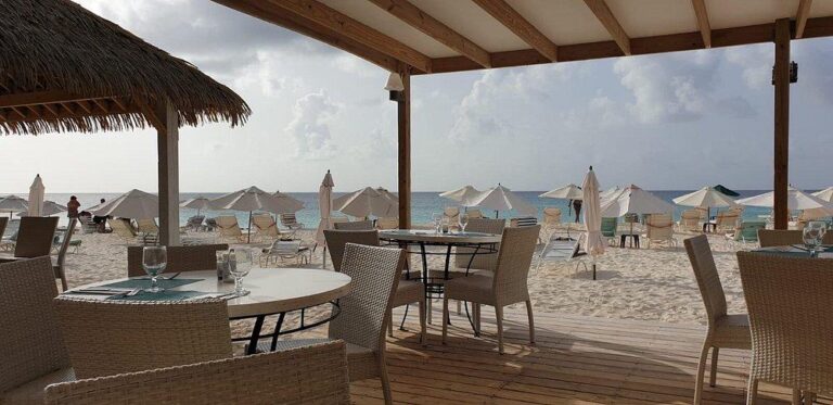 Madeariman 1 768x373