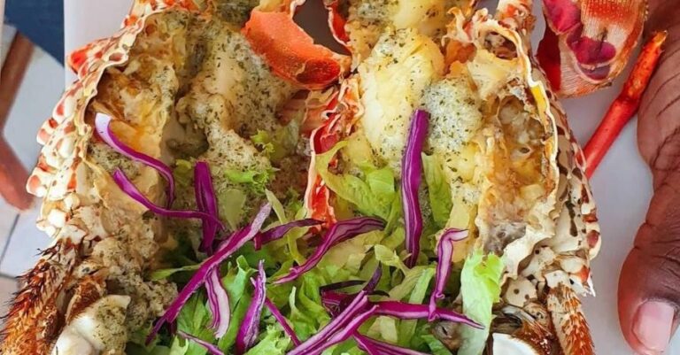 tropical 2.1 1 768x401