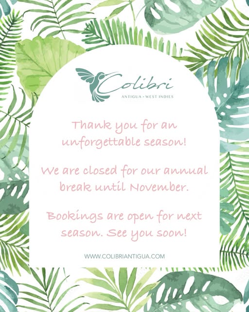 Colibri